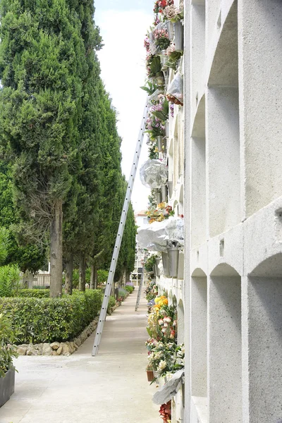 Hroby s květinami na zeď — Stock fotografie