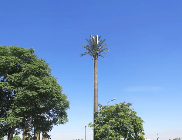 Palmeras che simula antenne ripetitrici per dispositivi mobili — Foto Stock