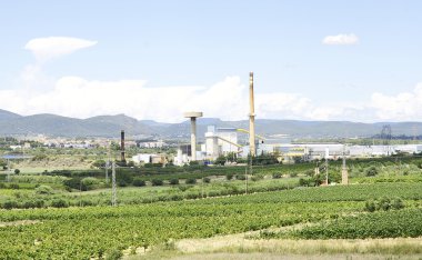 üzüm bağları penedes la gornal alanları,