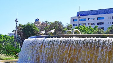 Barcelona, Katalunya, İspanya ve Avrupa 'daki Plaza de Catalunya çeşmeleriyle panoramik,