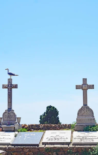 Panoramic Montjuic Cemetery Barcelona Catalunya Spain Europe — Stock Photo, Image