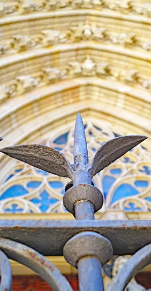 Detalhe Arquitetura Grade Porta Estilo Gótico Catedral Barcelona Catalunha Espanha — Fotografia de Stock