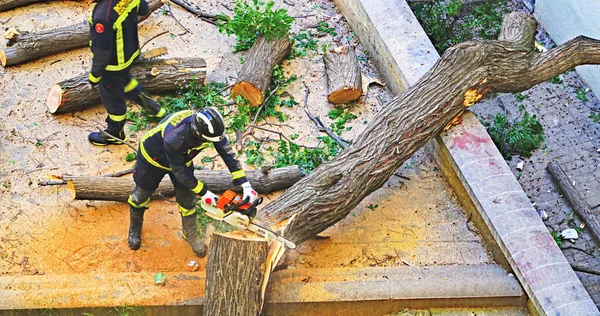 Bomberos Cortando Árbol Caído Contra Fachada Edificio Barcelona Cataluña España —  Fotos de Stock