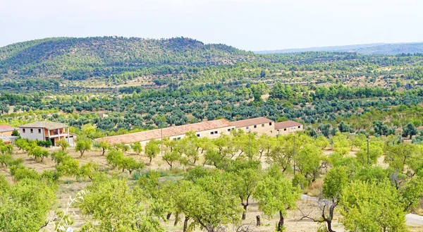 Landschap Van Provincie Teruel Aragon Spanje Europa — Stockfoto