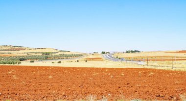 Puerto Lapice, Castilla La Mancha, İspanya, Avrupa 'daki Fallow arazisi