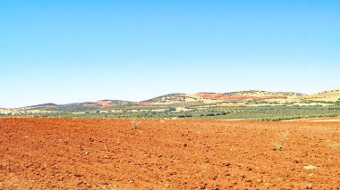 Puerto Lapice, Castilla La Mancha, İspanya, Avrupa 'daki Fallow arazisi