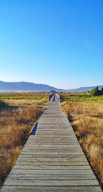 Tarifa sahilinin panoramik uçurtmaları, Cadiz, İspanya, Avrupa