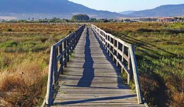 Tarifa sahilinin panoramik uçurtmaları, Cadiz, İspanya, Avrupa