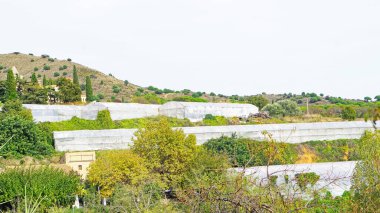 San Cebria de Tiana Kilisesi, Barcelona, Catalunya, İspanya, Avrupa