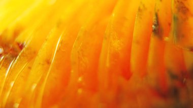 Beyaz arkaplanda mantar makrosu