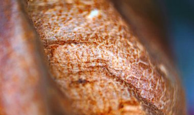 Beyaz arka planda kavrulmuş tatlı patates.