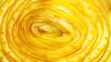 Bir enginarın makro ayrıntısı