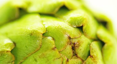 Bir enginarın makro ayrıntısı