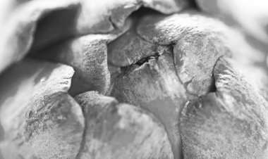 Mutfak mermerinin üzerindeki enginarlar.