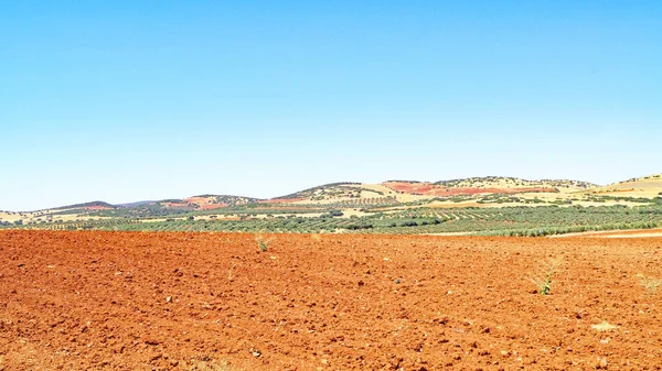 Puerto Lapice, Castilla La Mancha, İspanya, Avrupa 'daki Fallow arazisi