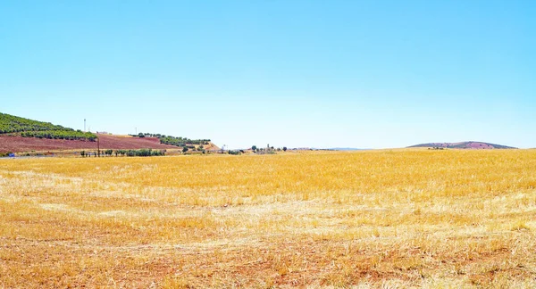 Puerto Lapice, Castilla La Mancha, İspanya, Avrupa 'daki Fallow arazisi