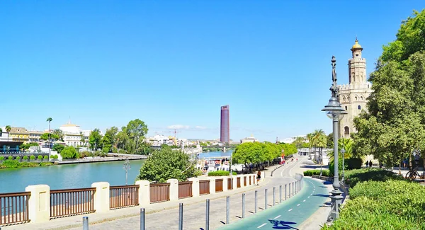 View Seville Andalusia Spain Europe — Stock Photo, Image