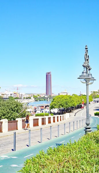 View Seville Andalusia Spain Europe — Stock Photo, Image