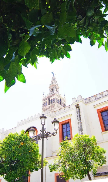 Vista Siviglia Andalusia Spagna Europa — Foto Stock