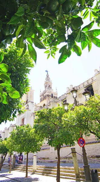 View Seville Andalusia Spain Europe — Stock Photo, Image