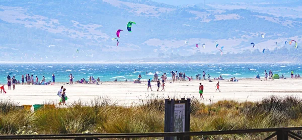 Panoramique Plage Tarifa Avec Cerfs Volants Kitesurf Cadix Espagne Europe — Photo