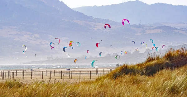 Tarifa sahilinin panoramik uçurtmaları, Cadiz, İspanya, Avrupa