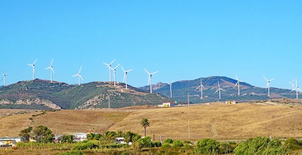 Panorama Plaży Tarifa Latawcami Kitesurfingowymi Kadyks Hiszpania Europa — Zdjęcie stockowe