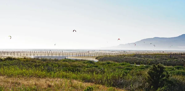 Tarifa sahilinin panoramik uçurtmaları, Cadiz, İspanya, Avrupa