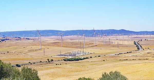 Facinas Cdiz Omgeving Met Windmolenpark Andalusië Spanje Europa — Stockfoto