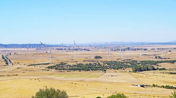 Facinas Cdiz Alrededores Con Parque Eólico Andalucía España Europa — Foto de Stock