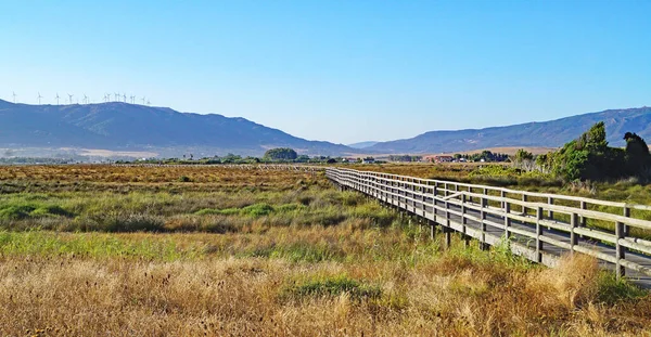 Tarifa Sahilinin Panoramik Uçurtmaları Cadiz Spanya Avrupa — Stok fotoğraf