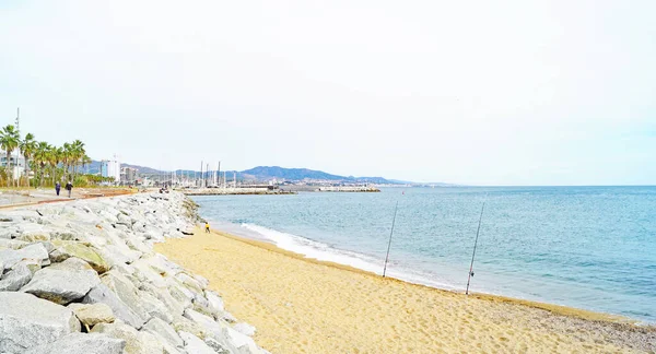 Palmenpromenade Strand Von Badalona Barcelona Katalonien Spanien Europa — Stockfoto