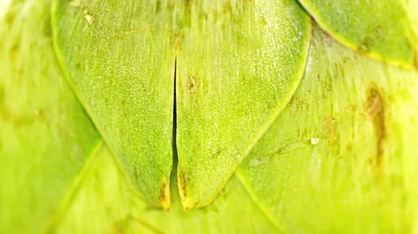 Detail Makro Dari Artichoke — Stok Foto