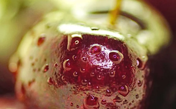 Macro Una Cereza Sobre Fondo Verde —  Fotos de Stock