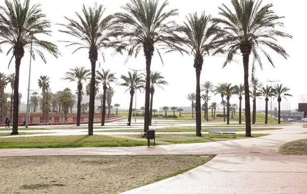 Gardens Port Forum Barcelona Catalunya Spain Europe — Stock Photo, Image