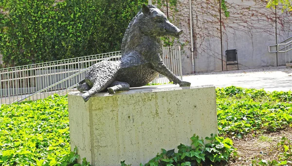 西班牙加泰罗尼亚 巴塞罗那 蒂尔街上的一个广场上的野猪雕塑 — 图库照片