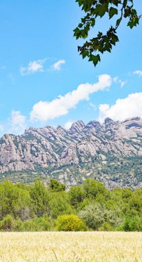 Barselona, Katalunya, İspanya ve Avrupa 'daki Collbato' dan Montserrat dağlarının manzarası