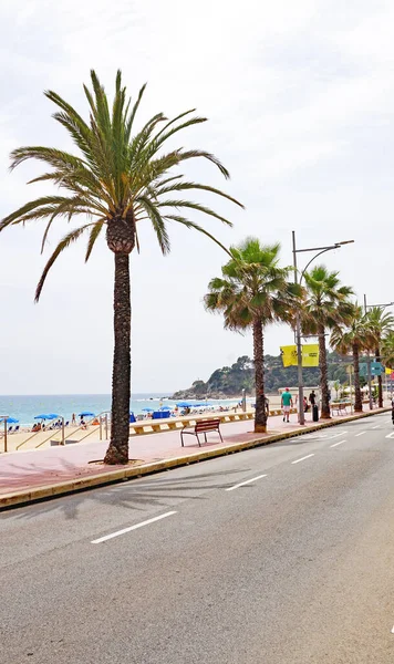 Beach Town Lloret Mar Girona Catalunya Spain Europe — Photo