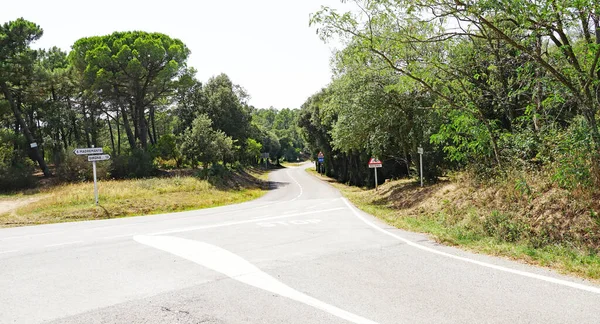 Bergweg Provincie Girona Catalunya Spanje Europa — Stockfoto