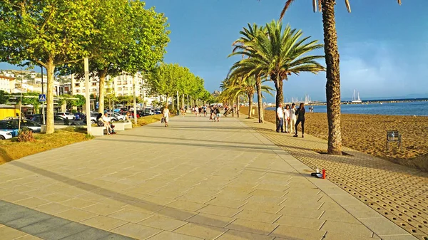 Panoramica Delle Rose Girona Catalogna Spagna Europa — Foto Stock