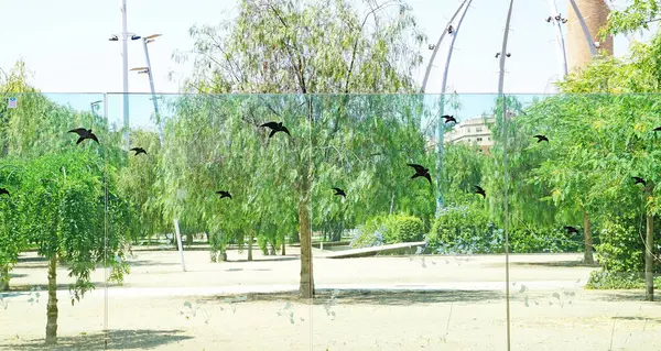 燕子画在西班牙加泰罗尼亚巴塞罗那波波尔布努公园的窗户上 — 图库照片