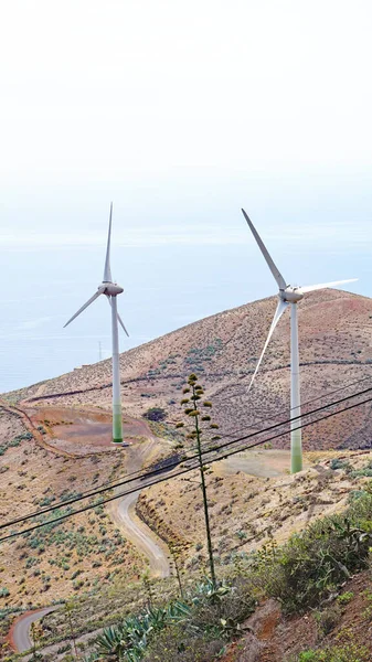 Parc Éolien Sommet Montagne Villa Valverde Hierro Santa Cruz Tenerife — Photo