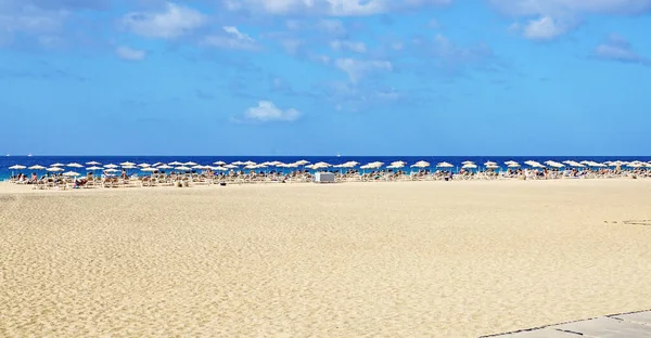 Morro Jable Beach Jandia Fuerteventura Las Palmas Canary Islands スペイン — ストック写真