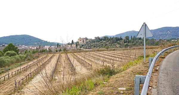 Garraf Bölgesinde Canyelles Barselona Katalunya Spanya Avrupa — Stok fotoğraf