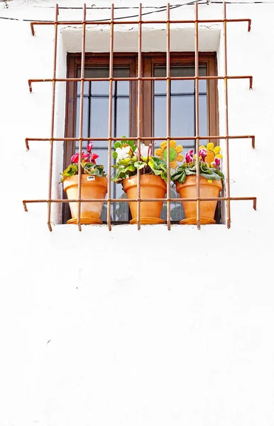 Window Flower Pots House Canyelles Garraf Region Barcelona Catalunya Spain — Stock Photo, Image