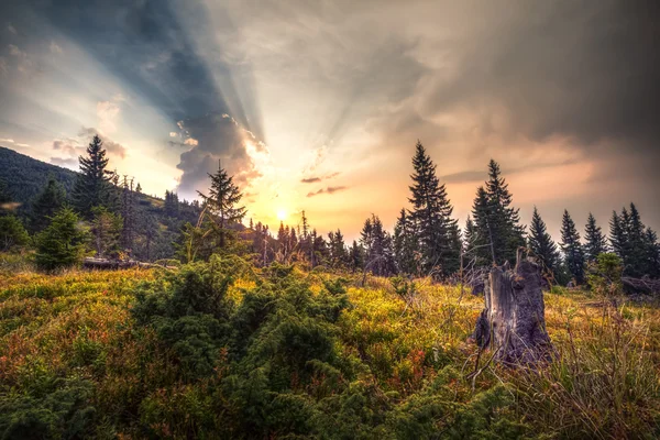 Pôr do sol de outono nas montanhas da Ucrânia — Fotografia de Stock