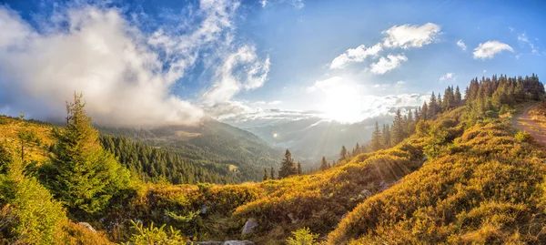 Panorama "Sunny morning in the Ukrainian Carpathians" — Stock Photo, Image