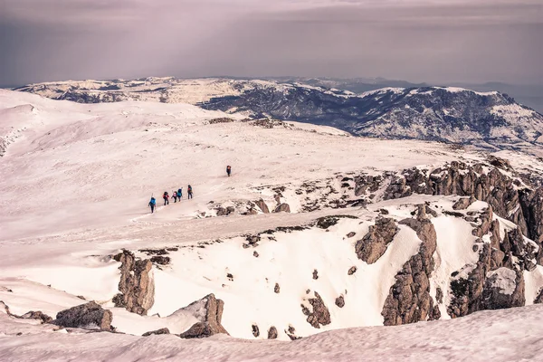 Tourists in the snowy mountains — Stock Photo, Image