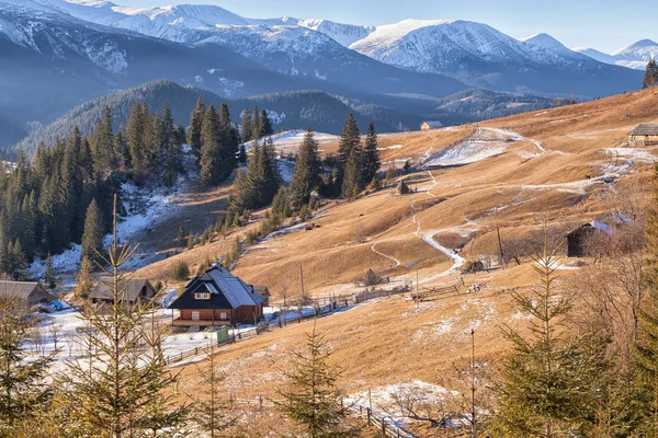 Confortevole casa nelle montagne dei Carpazi — Foto Stock