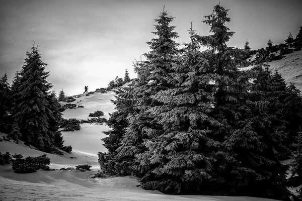 Scalatore arrampicatore sulla montagna innevata — Foto Stock